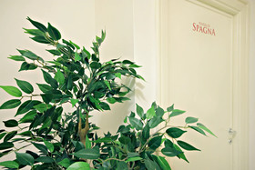 Le Piazze di Roma Bed & Breakfast