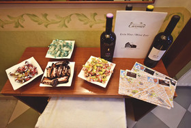 Hotel Carmel