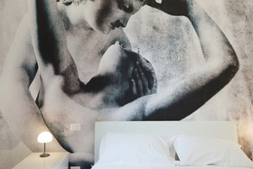 Mirko Luxury Inn