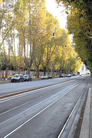 Mirko Luxury Inn