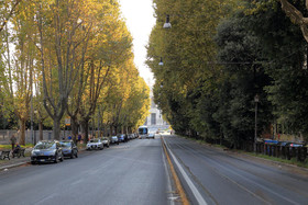 Mirko Luxury Inn