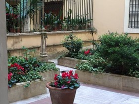 Morelli 1