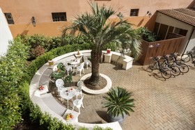 Palm Suites