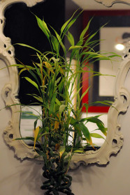 Relais Palazzo Taverna