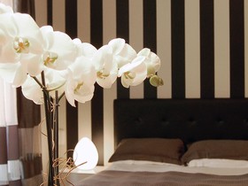 Residence Al Saraceno