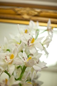 Residence Villa Marignoli