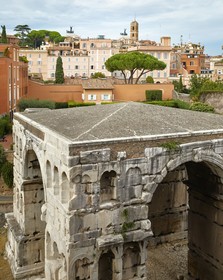 Rhinoceros by Fendi Rome