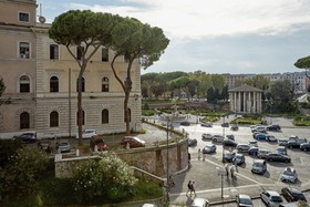 Rhinoceros by Fendi Rome