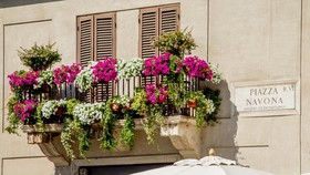 Rome Visits