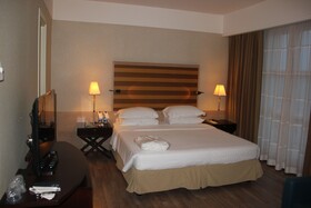 Sheraton Parco de' Medici Rome Hotel