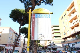 Star of Rome