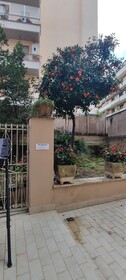 Vatican Green Garden