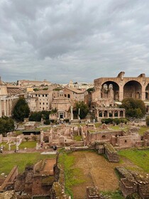 Vatican Green Garden
