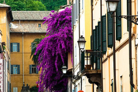 Ventisei Scalini A Trastevere