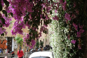 Ventisei Scalini A Trastevere
