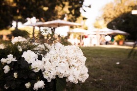 Villa Strampelli