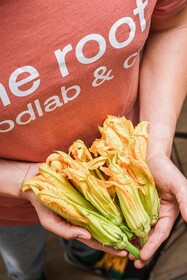 Dotcampus roma city center