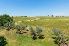 Riserva Dell'Olmo