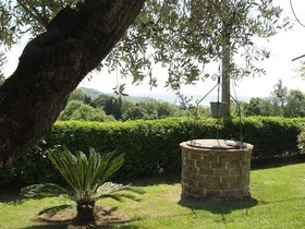 Il Poggio Degli Ulivi