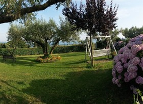 Il Poggio Degli Ulivi