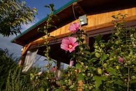 Agriturismo I Sapori dei Castelli Romani