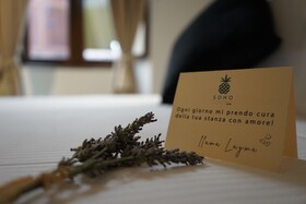 Soho Piaggiarelle By Dasso