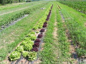 Agriturismo Cascina Poscallone