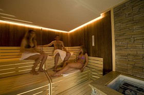 Arli Hotel Business & Wellness