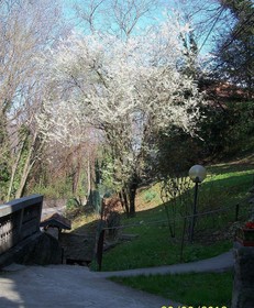B&B I Ghiri