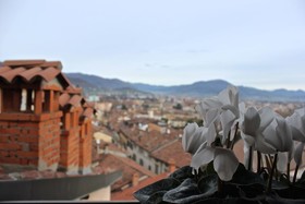 Fontana del Delfino