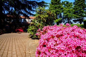 La Pineta