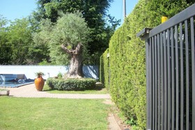 South Italy B&B