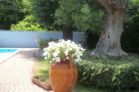 South Italy B&B