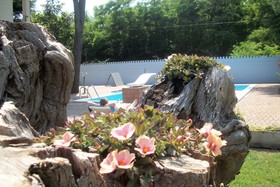 South Italy B&B