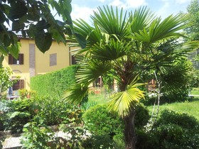 B&B Il Pioppo E La Fonte