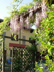 B&B Il Pioppo E La Fonte