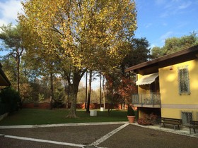 Bed & Garden