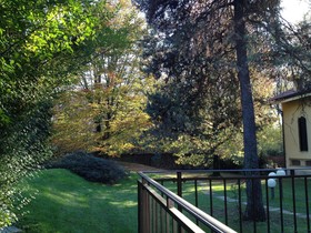 Bed & Garden