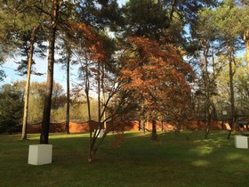 Bed & Garden
