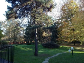 Bed & Garden