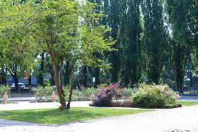 Agriturismo Ponte Di Rialto