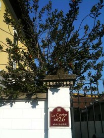 Amico Hotel