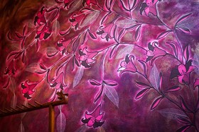 Bed & Breakfast Vietnamonamour L'isola