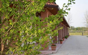 Agriturismo Il Boschetto