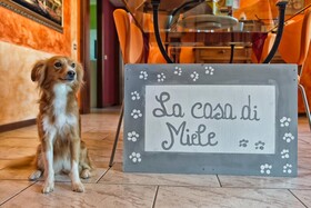 B&B La Casa di Miele