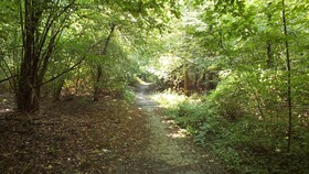 B&B La Casa di Miele