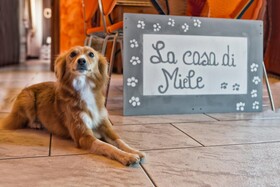 B&B La Casa di Miele