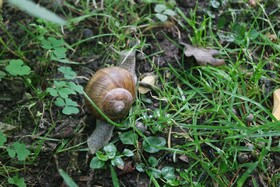 Country Hotel Castelbarco