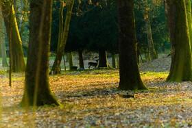 Country Hotel Castelbarco
