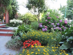 B&B La Collina